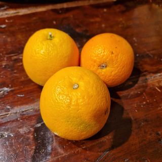 Arance da spremuta 1 kg