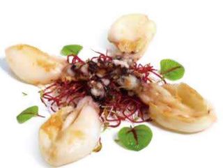 302 Cuttlefish teppanyaki