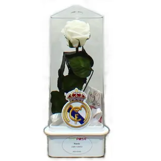 ETERNITY R. MADRID BLANCA 1,52