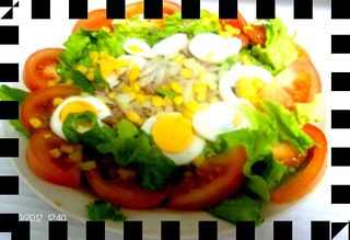 Prato de Alface, Ovo, Tomate e Atum