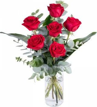5 rose rosse lunghe confezionate