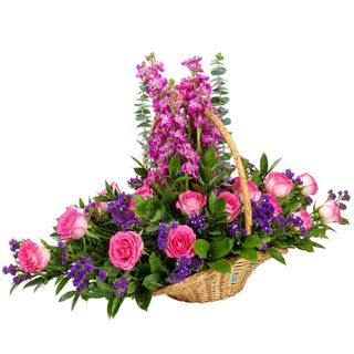 Purple Horizon + Free Basket