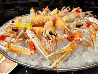 Scampo Irlanda Porcupine 1ª scelta 1 pezzo