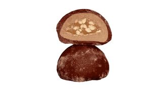 Моті Снікерс