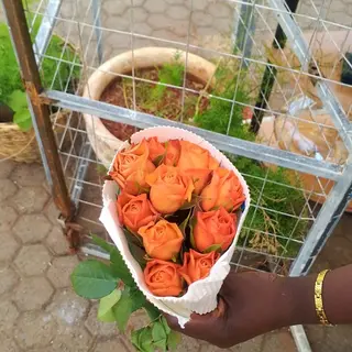 10 Stems Orange Roses (Un-arranged)
