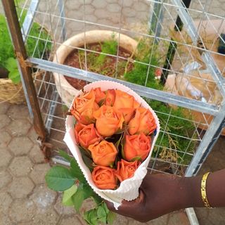 10 Stems Orange Roses (Un-arranged)
