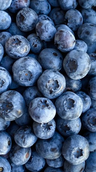 Чайна лохина 500мл