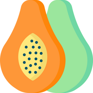  PAPAYE ORANGE   