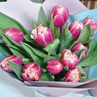 Buchet din 11 lalele cu ambalaj asortat