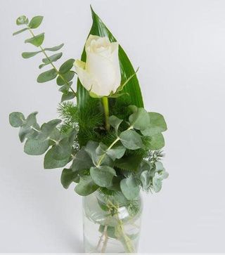 1 rosa bianca gambo lungo