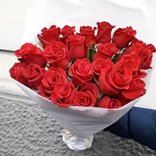Rose rosse