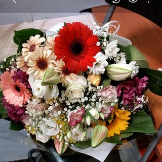 Gerbere girasole rosa misto casa Rosa campo misto campo misto lisianthus