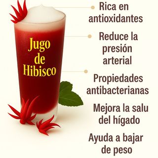 Zumo De Hibisco (400 Ml.)