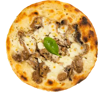 Champignon