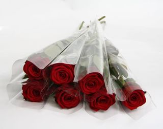 5 roses rouge, chaque rose emballée individuellement