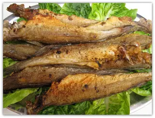 Friture Merlan