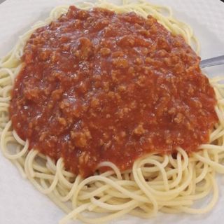 Bolognesa