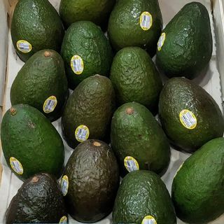 Aguacate Extra Unidad