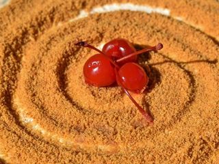 Торт "Медовик з вишнею"  200гр