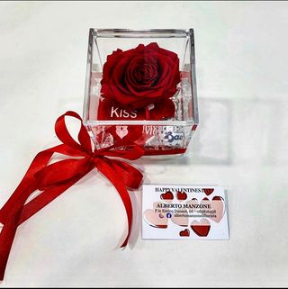 rosa rossa stabilizzata