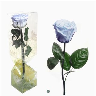 Rosa Eterna Azul Claro Pequeña