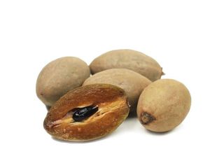 Саподіла (1шт)