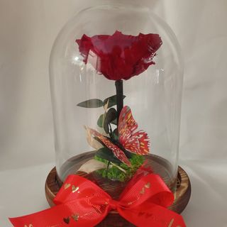 Rosa Preservada Roja en Cúpula Grande