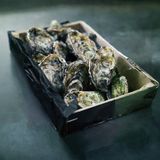 Ostrica speciale di Tarbouriech - 1 pezzo