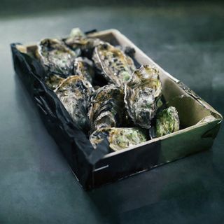 Ostrica speciale di Tarbouriech - 1 pezzo