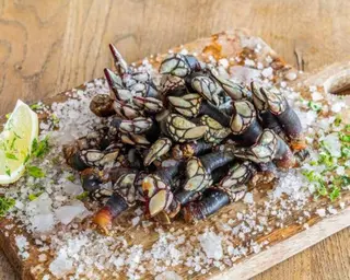 Percebes Médio
