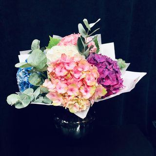 Buchet din 5 Hortensii Mixte