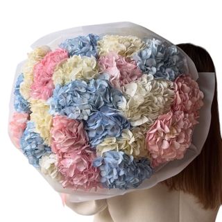 #4 Hortensje mix 21szt