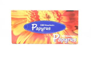 Mouchoir Bte 36X100 2Plis Papyrus