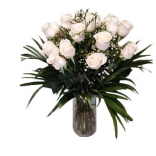 Daniela 18 Rosas Blancas