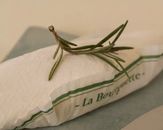 Bouyguette Segala 150Gr 1 Ud