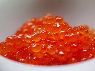 წითელი ხიზილალა