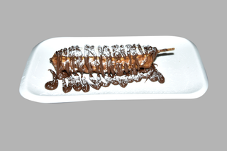 Waffle Nutella 