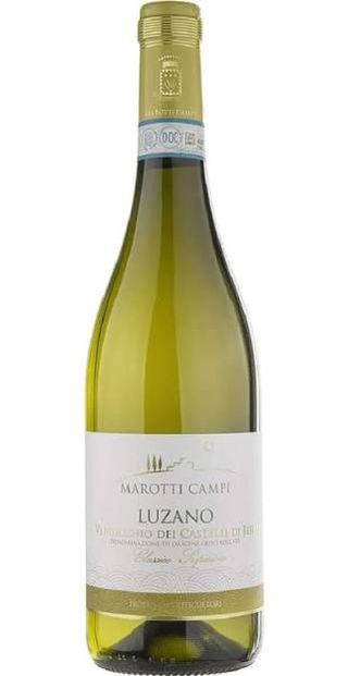 Verdicchio Superiore - Marche