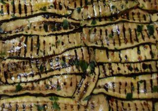 (T) Zucchine Grigliate