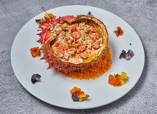 1kg- 1,200kg CENTOLLA LIMPIA