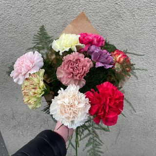 Bukiet kolorowych gozdzikow 