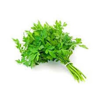 Patrunjel verde legatura