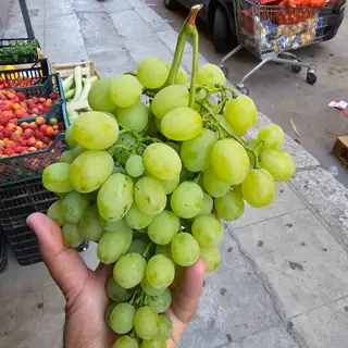 Uva bianca Sicily 100 % vaschetta da 500 gr circa 