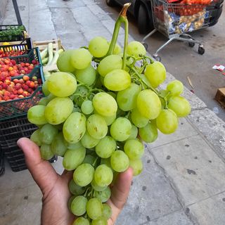 Uva bianca Sicily 100 % vaschetta da 500 gr circa 