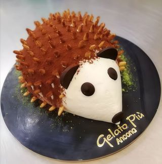 Riccio crema e cioccolato 6 persone