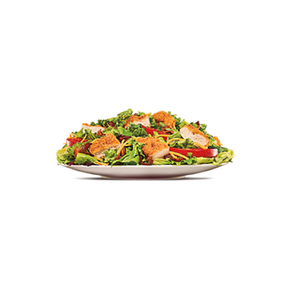 Salata sa piletinom 245.5g