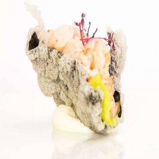 Alga crock gamberi - 1 pezzo