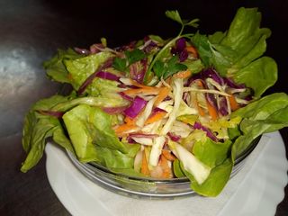 Vitaminska salata