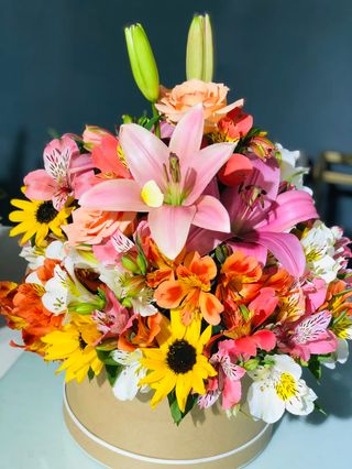 კოლოფი #1