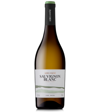 S. Blanc